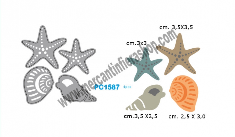 Fustelle Conchiglie e Stelle Marine SOTTILI